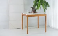 Image Thumbnail